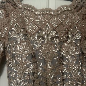 Long fitted beige sequin with blue gray lining. Stretchy, VERY comfortable.